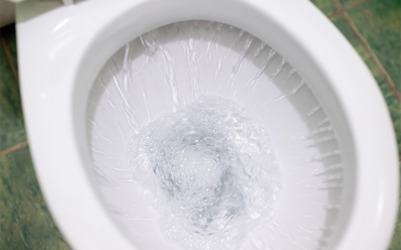 Toilet flushing with swirling water.