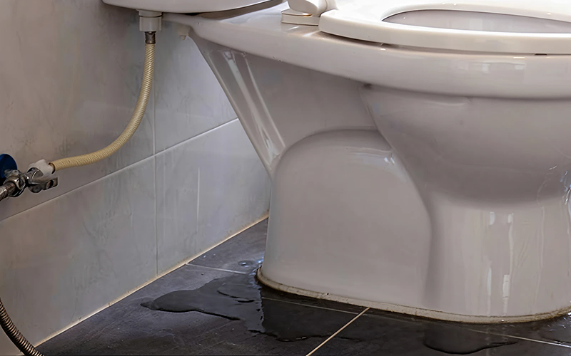 Water pooling around toilet base indicating a plumbing leak.